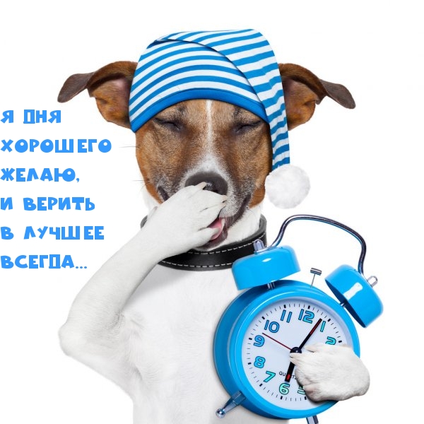 Я дня хорошего желаю, И верить в лучшее всегда…