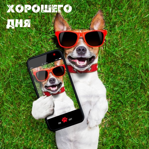 ХОРОШЕГО ДНЯ