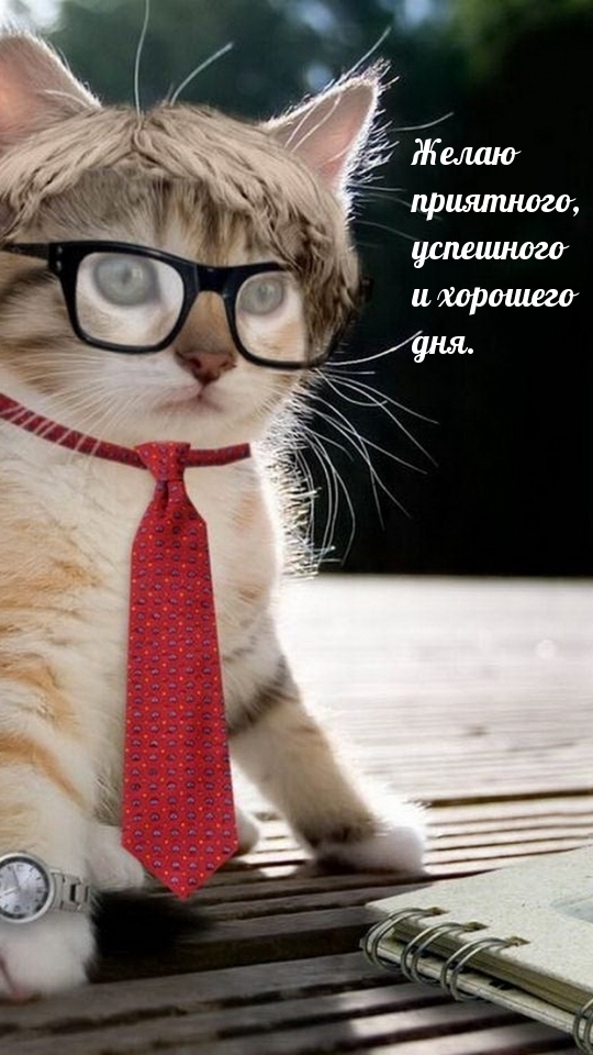 Желаю приятного, успешного и хорошего дня.