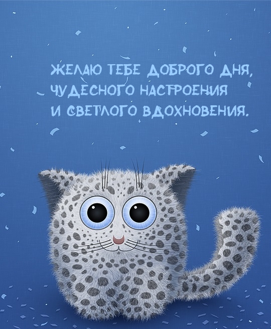Желаю тебе доброго дня, чудесного настроения!