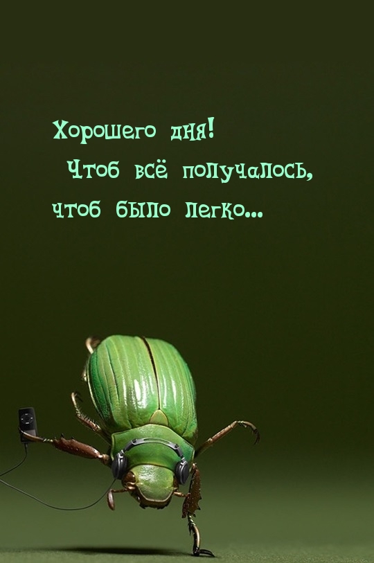 Чтоб всё получалось, чтоб было легко…