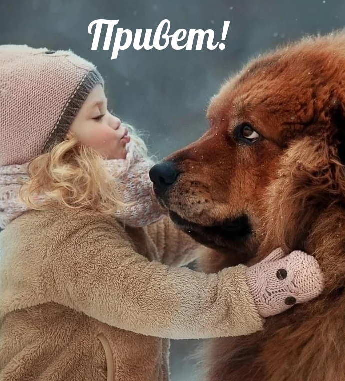 Картинка - Привет!.