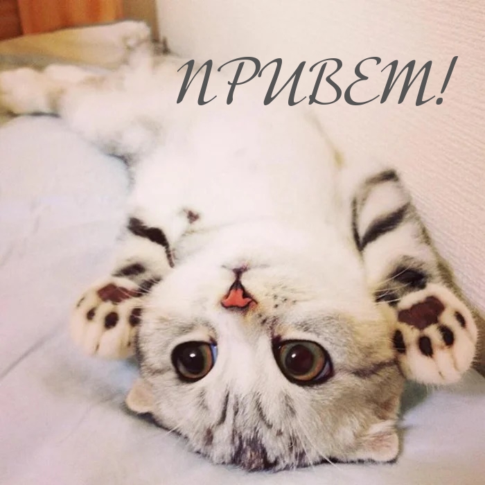 ПРИВЕТ!