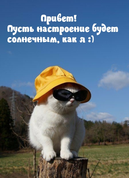 Привет! Пусть настроение будет солнечным, как я :)