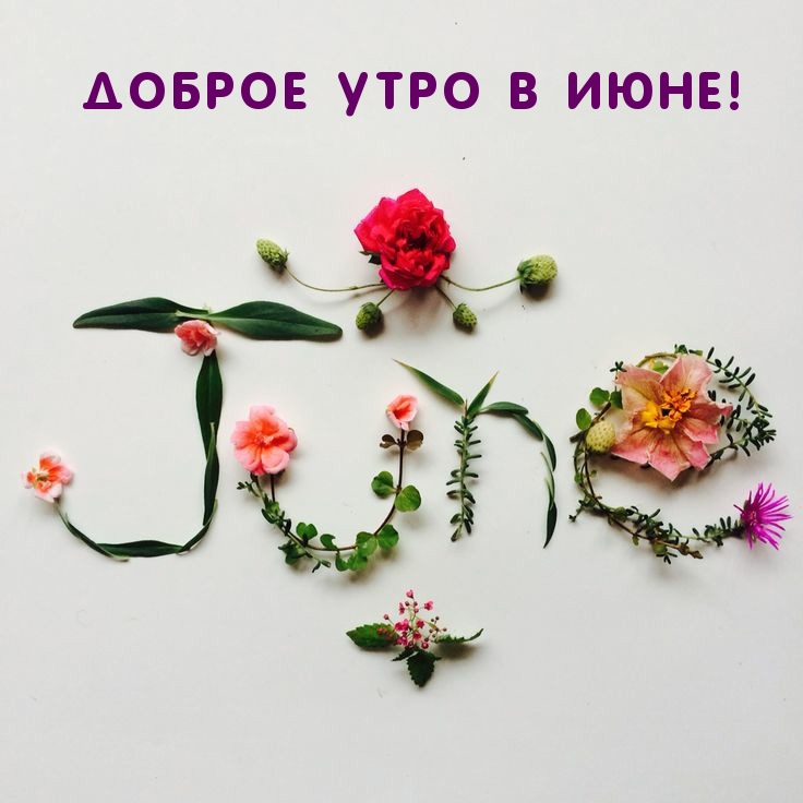 Доброе утро в июне!