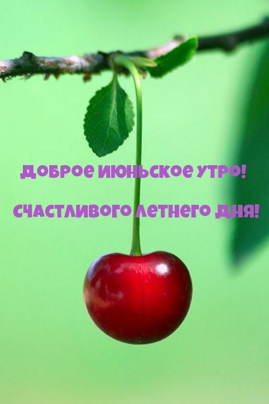 Доброе июньское утро! Счастливого летнего дня!