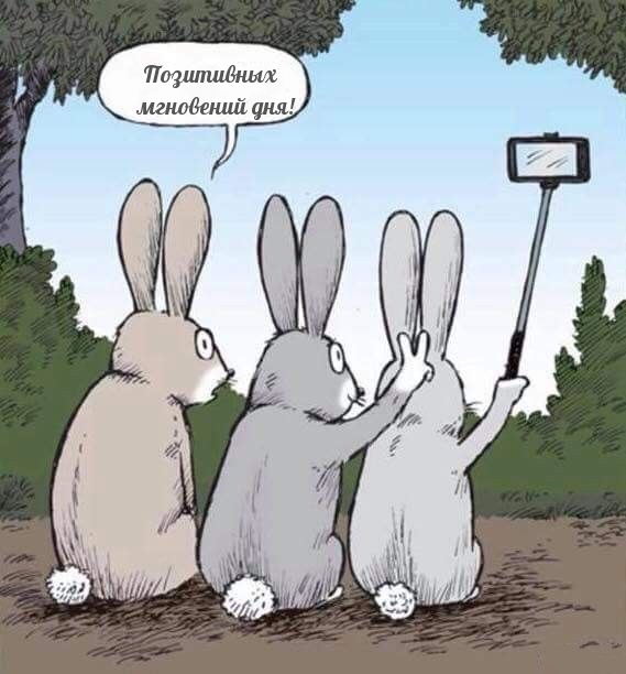 Позитивных мгновений дня!