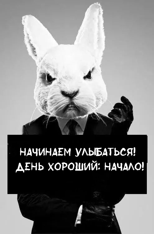Начинаем улыбаться! День хороший: начало!