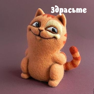 Здрасьте