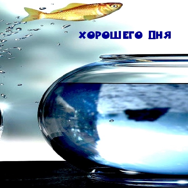 ХОРОШЕГО ДНЯ