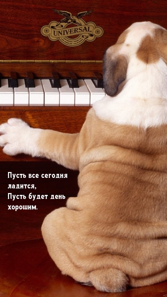 Пусть все сегодня ладится, Пусть будет день хорошим.