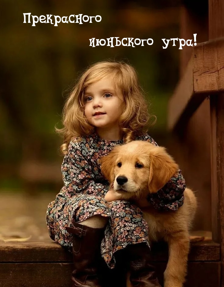 Прекрасного июньского утра!