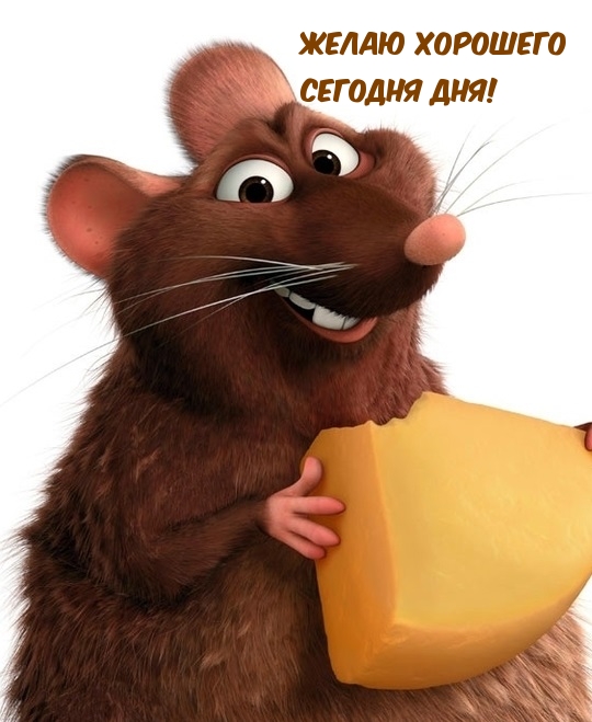 Желаю хорошего сегодня дня!