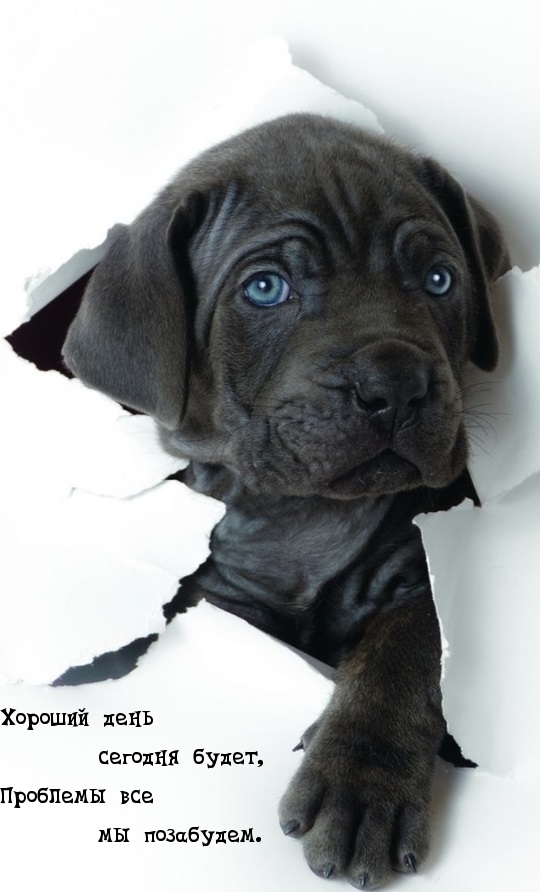 Хороший день сегодня будет