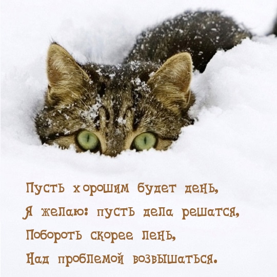 Пусть хорошим будет день!