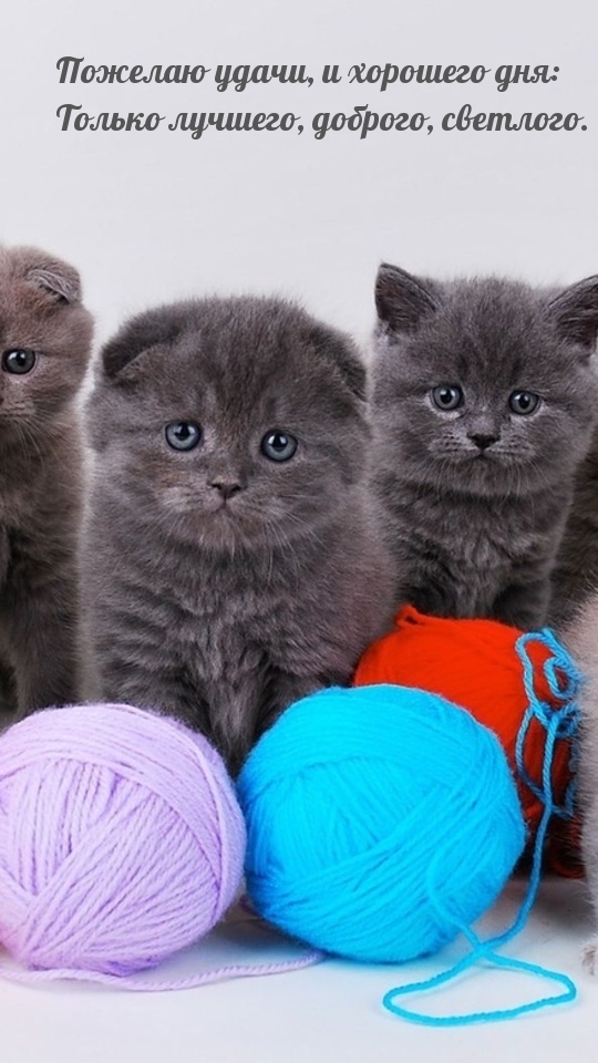 Пожелаю удачи, и хорошего дня
