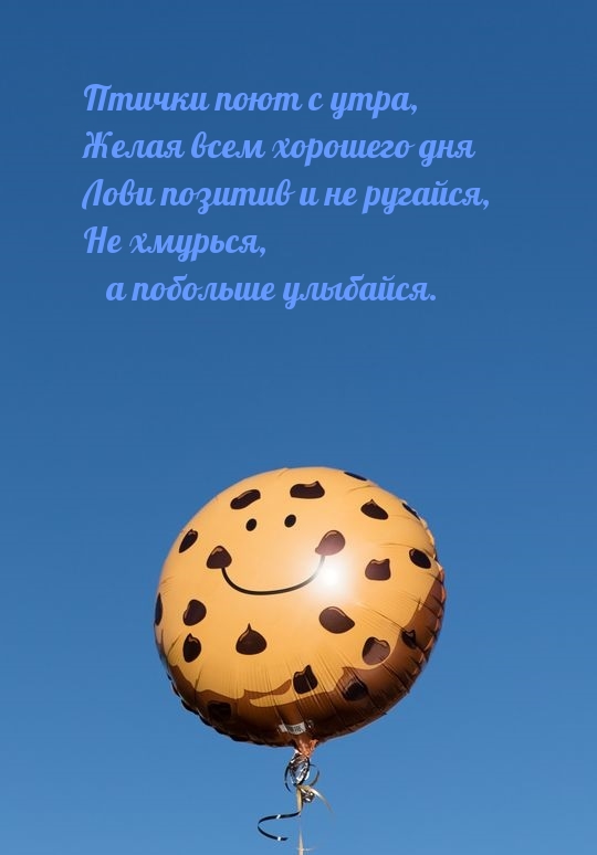 Птички поют с утра, желая всем хорошего дня