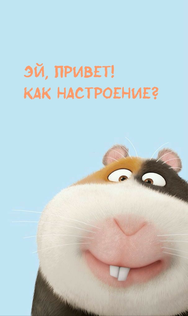 Эй, привет! Как настроение?