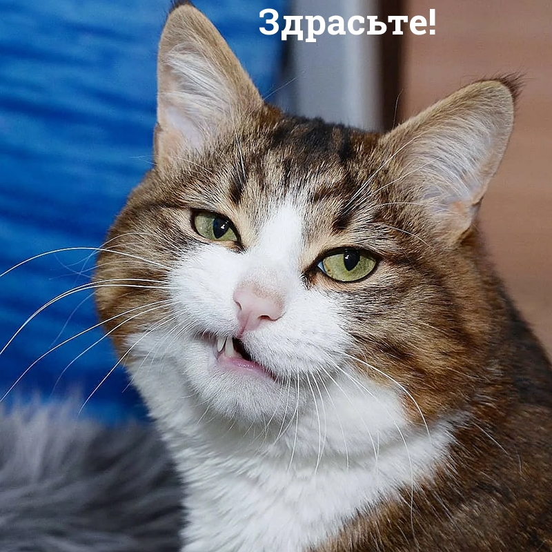 Здрасьте!