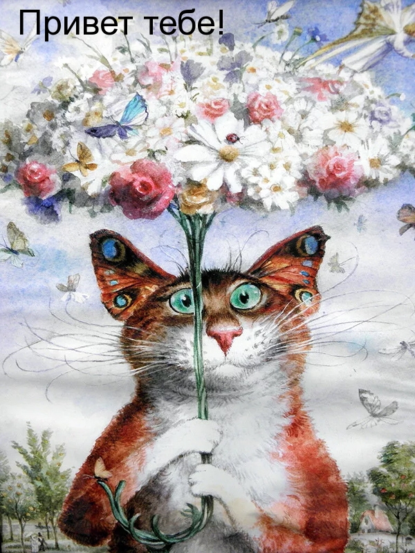 Привет тебе!