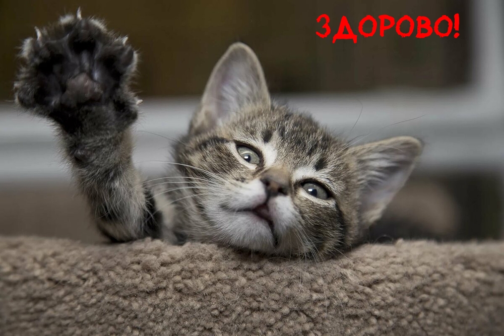 Здорово!
