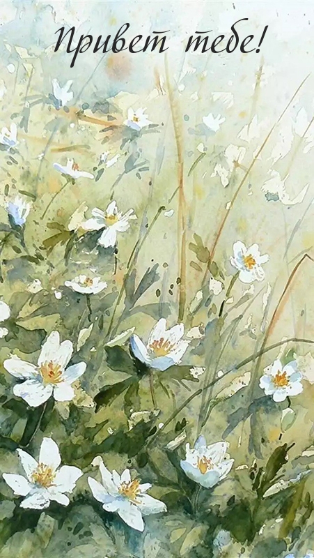 Привет тебе!