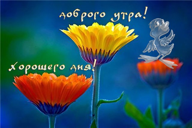 Доброго утра! Хорошего дня!