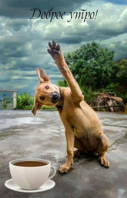 Доброе утро!