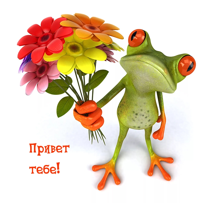 Привет тебе!
