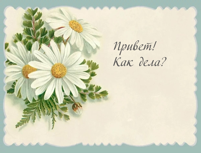 Привет! Как дела?