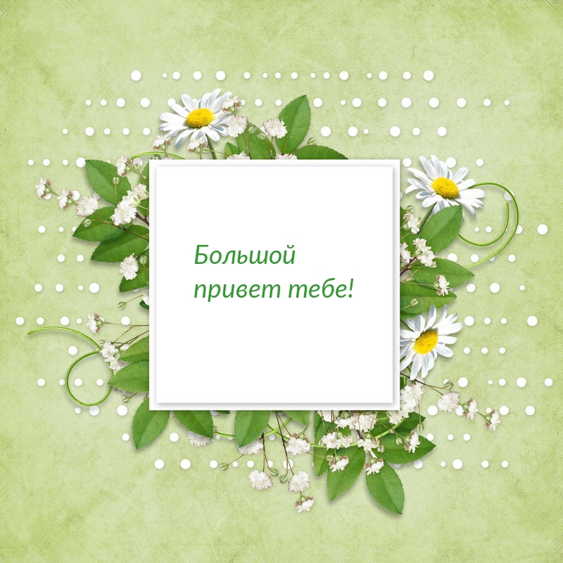 Большой привет тебе!