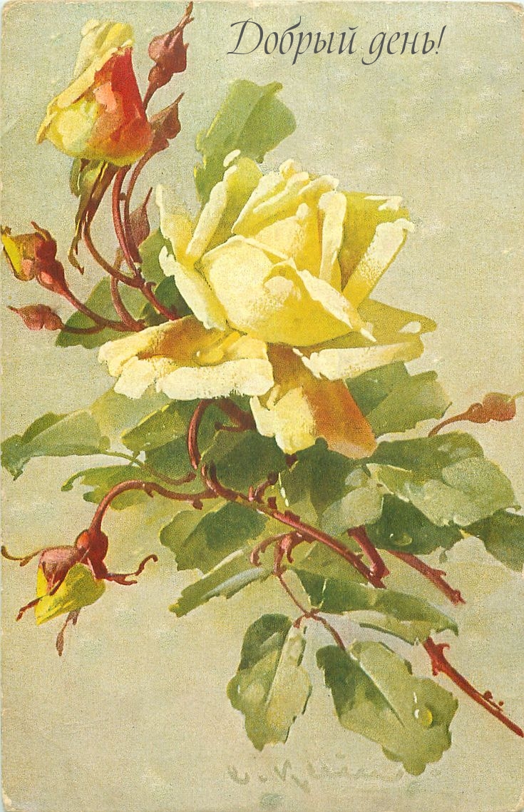 Добрый день!