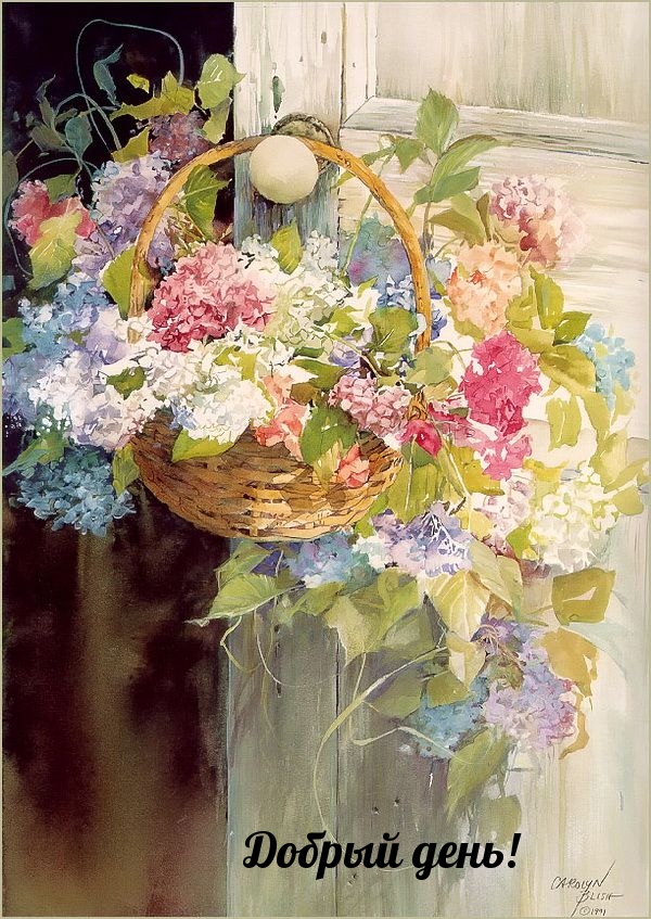 Добрый день!