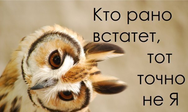 Кто рано встает, тот точно не Я!