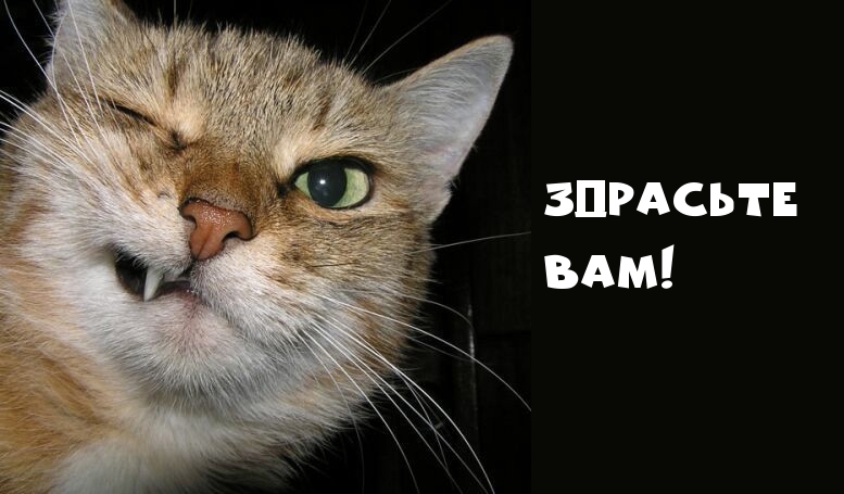 Здрасьте вам!