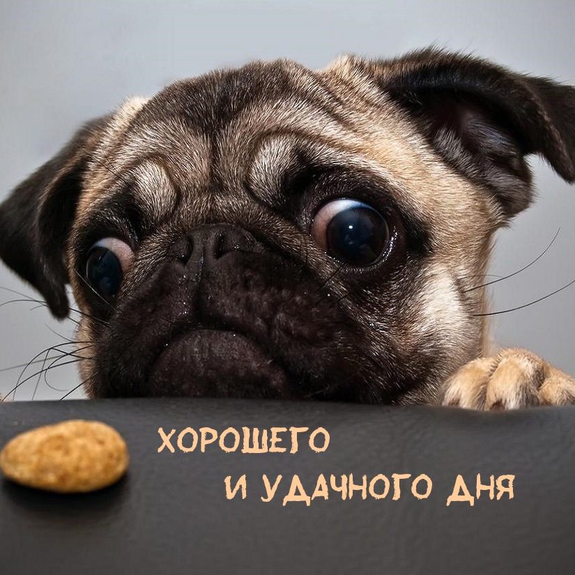 ХОРОШЕГО и удачного ДНЯ
