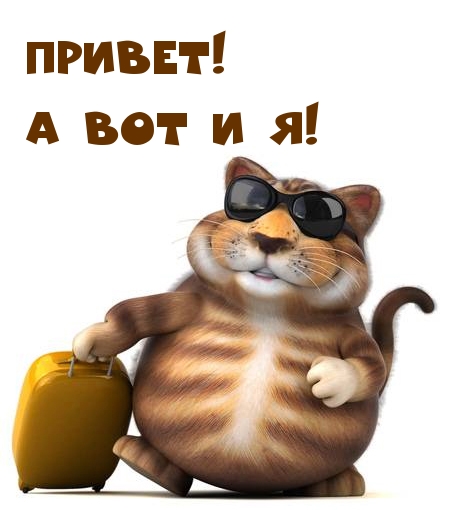 Привет! А вот и я!