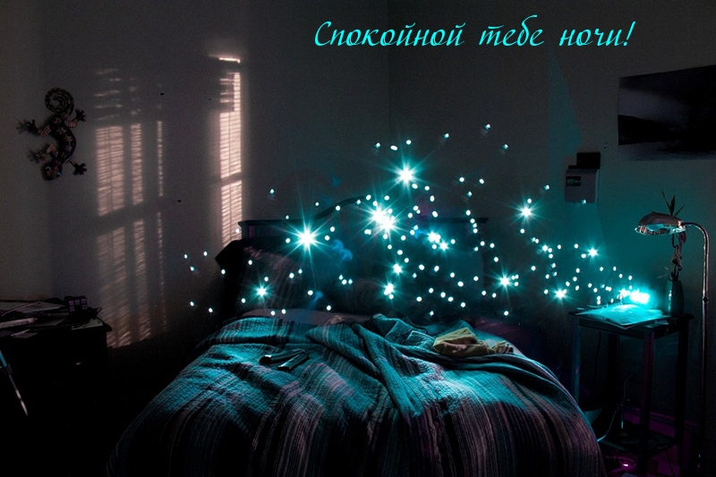 Спокойной тебе ночи!