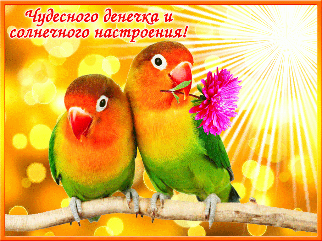 Удачного денечка и солнечного настроения!