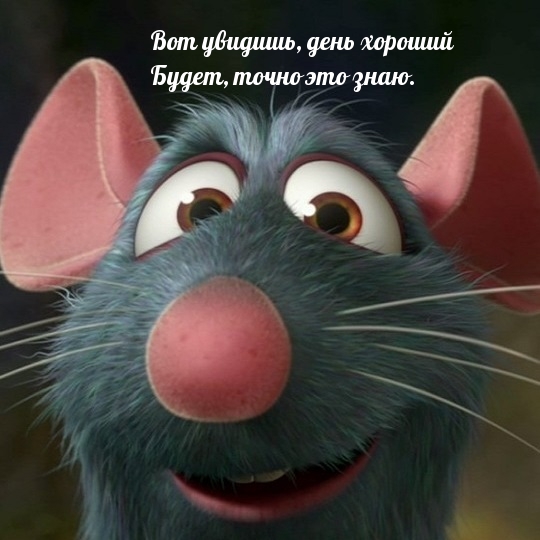 Вот увидишь, день хороший будет, точно это знаю.