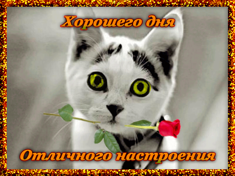 Хорошего дня и отличного настроения!
