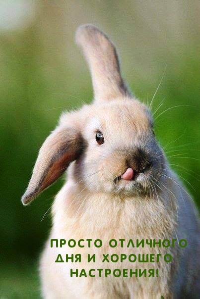 Просто отличного дня и хорошего настроения!