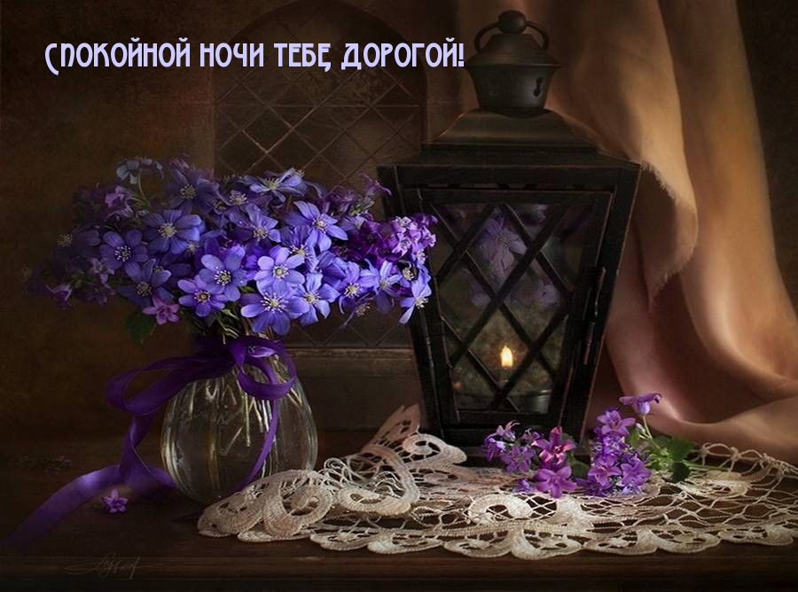 Спокойной ночи тебе, дорогой!