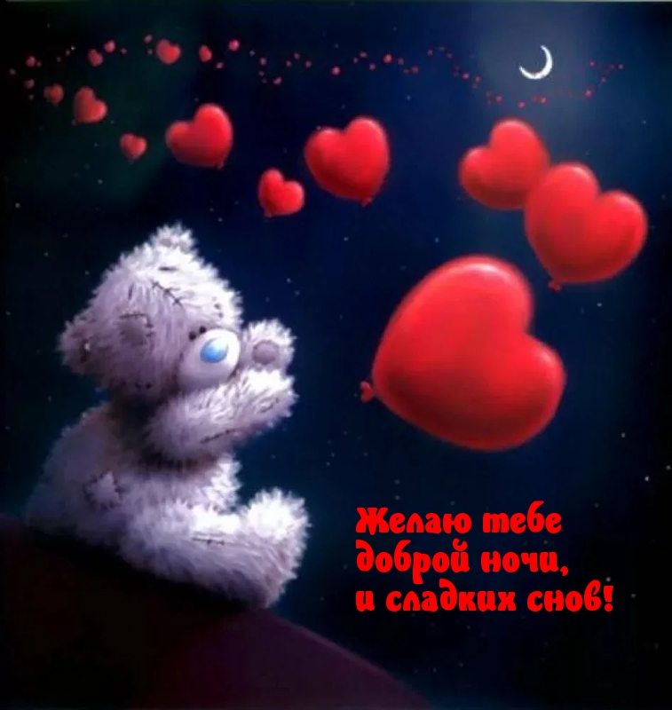Желаю тебе доброй ночи, и сладких снов!