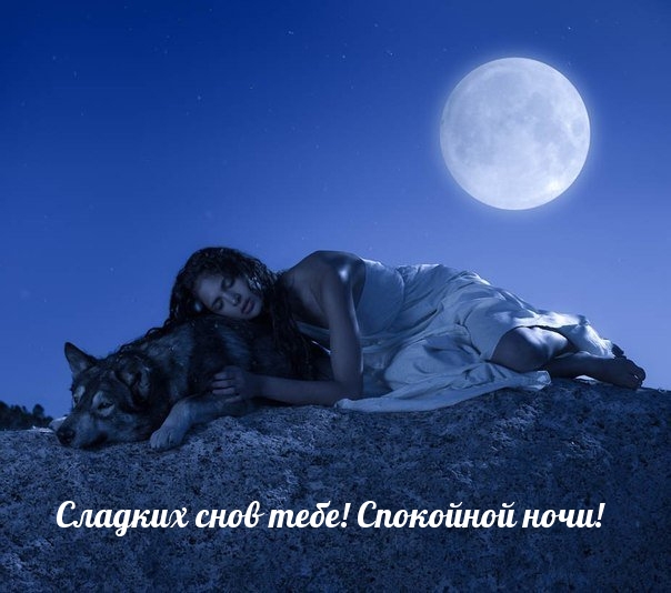 Сладких снов тебе! Спокойной ночи!