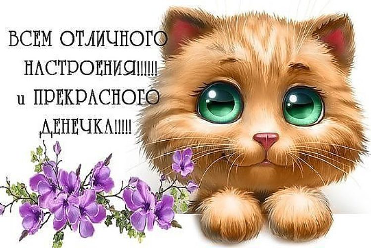 Всем отличного настроения и прекрасного денечка!