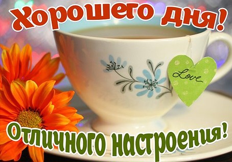 Хорошего дня! Отличного настроения!