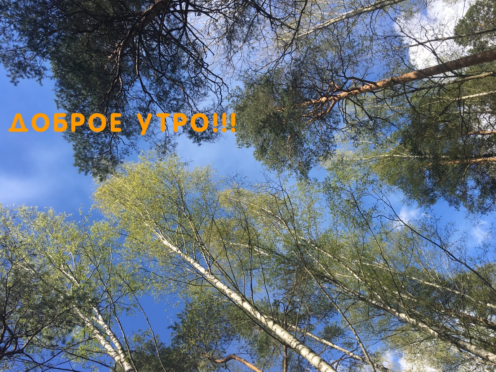 Доброе утро!