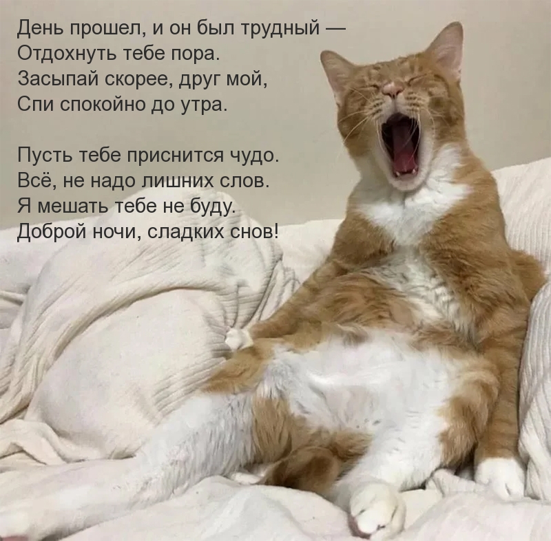 Отдохнуть тебе пора  Засыпай скорее, друг мой!