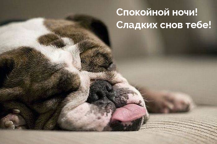 Спокойной ночи! Сладких снов тебе!